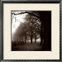 Black And White Morning by Harold Silverman Limited Edition Print