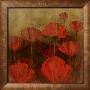 Poppies I by Robert Holman Limited Edition Print