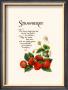 Strawberry by G. Phillips Limited Edition Pricing Art Print