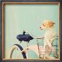 Dog Gone by Mandy Lynne Limited Edition Pricing Art Print