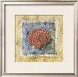 Sea Shell by A. Vega Limited Edition Pricing Art Print