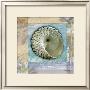 Peace Shell by Todd Williams Limited Edition Print