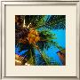 Tropical Palm by Jean-Francois Dupuis Limited Edition Pricing Art Print