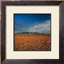 Spanish Landscape I by Bill Philip Limited Edition Print