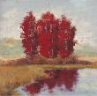 Scarlet Reflections by Jill Schultz Mcgannon Limited Edition Pricing Art Print