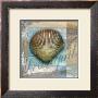 Tranquil Shell by Todd Williams Limited Edition Print