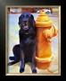 Lab's Best Friend by Robert Mcclintock Limited Edition Pricing Art Print