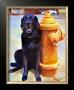 Lab's Best Friend by Robert Mcclintock Limited Edition Print