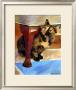 Calico Face by Robert Mcclintock Limited Edition Pricing Art Print