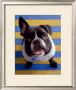 Frenchie Beau by Robert Mcclintock Limited Edition Print