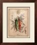 Piment by Vincent Jeannerot Limited Edition Pricing Art Print