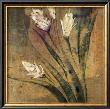 Brilliant Reflections Iv by Jennifer Hollack Limited Edition Pricing Art Print