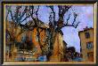 Old Poplars, France by Nicolas Hugo Limited Edition Print