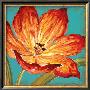 Flame Tulip I by Karen Leibrick Limited Edition Print