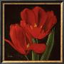 Red Tulips Ii by Wendy Russell Limited Edition Print