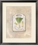 Leeks by Lisa Audit Limited Edition Pricing Art Print