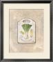 Leeks by Lisa Audit Limited Edition Pricing Art Print