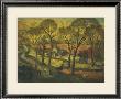 Springtime In Eskdale by James Mcintosh Patrick Limited Edition Print