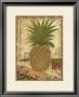 Pineapple by Linda Denison Limited Edition Pricing Art Print