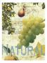 Natural Fruits by Eric Yang Limited Edition Print