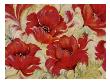 Poppy Shimmer by Julia Hawkins Limited Edition Print