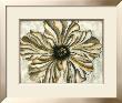 Fresco Flowerhead I by Nancy Slocum Limited Edition Print