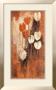 Red And White Tulips Ii by Anne Helm Limited Edition Print