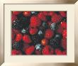 Frutti Di Bosco by Riccardo Marcialis Limited Edition Pricing Art Print
