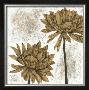 White Washed Dahlias Ii by Megan Meagher Limited Edition Print