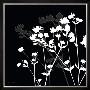 Pure Shadow Flower I by Katrine Alex Limited Edition Pricing Art Print