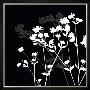 Pure Shadow Flower I by Katrine Alex Limited Edition Print