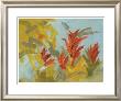 Bromeliad Essence I by Karen Wilkerson Limited Edition Print