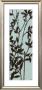 Ebony Eucalyptus On Blue Ii by Norman Wyatt Jr. Limited Edition Pricing Art Print