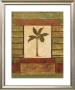 Classic Palm Ii by Rebecca Burton Limited Edition Pricing Art Print