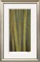 Hidden Bamboo I by M.J. Lew Limited Edition Pricing Art Print