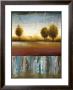 Silver Light Ii by Mark Davenport Limited Edition Print