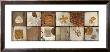 Natural Elements I by Jenny Siekmann Limited Edition Print