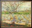 Olive Trees by Vincent Van Gogh Limited Edition Print