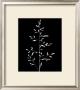 Wild Grasses I by K. Kennedy Limited Edition Print