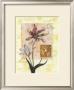 Tulipe by G.P. Mepas Limited Edition Print