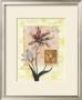 Tulipe by G.P. Mepas Limited Edition Print