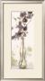 Charming Orchid by Donna Geissler Limited Edition Print