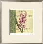 Hyacinth by Paula Scaletta Limited Edition Pricing Art Print