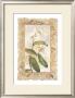 Orchid by George Caso Limited Edition Print