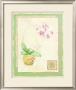 Orchid I by Pamela Gladding Limited Edition Print