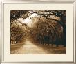 Savannah Oaks I by Alan Hausenflock Limited Edition Print