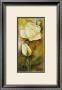 Rose I by Rian Withaar Limited Edition Print