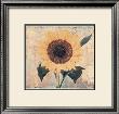 Sunflower by John Faulkner Limited Edition Pricing Art Print