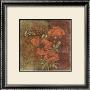 Five Senses Poppies Ii by Rebecca Baer Limited Edition Print
