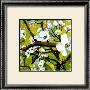 Blossom Lullaby Iii by Mary Mclorn Valle Limited Edition Print